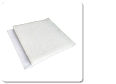 ���m�����C�A�^�V